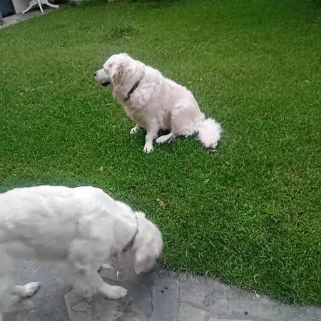 Meteora Grande Luxury & Kalambaka