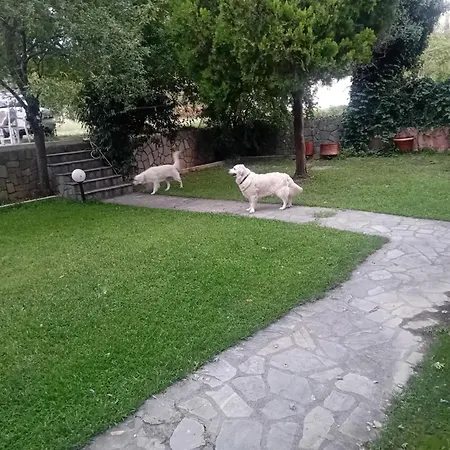 Meteora Grande Luxury & 아파트 칼람파카