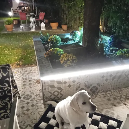 Meteora Grande Luxury & *