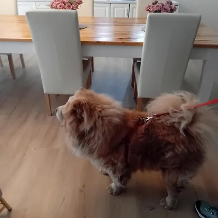 Meteora Grande Luxury & 아파트