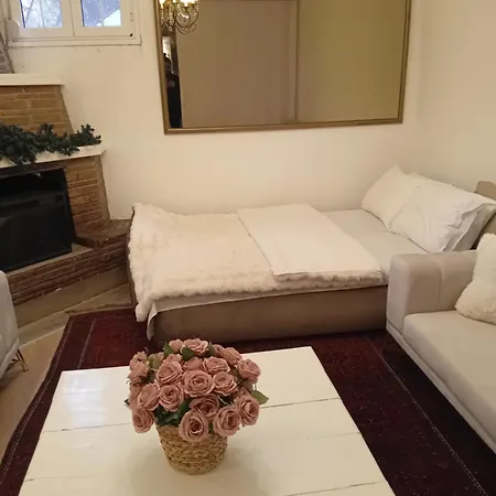 Meteora Grande Luxury & Apartment *