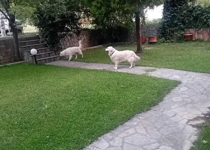 公寓 Meteora Grande Luxury & *