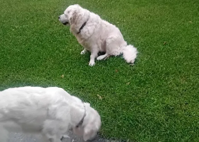 Meteora Grande Luxury & 卡兰巴卡