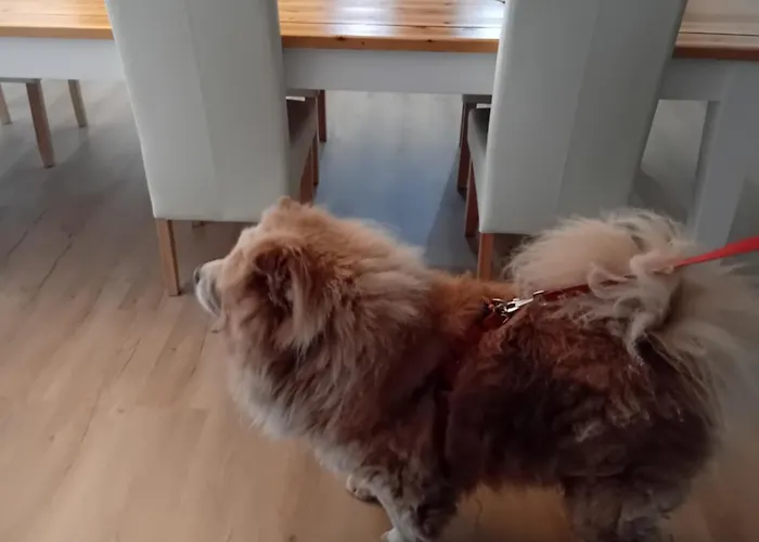 Meteora Grande Luxury & 公寓